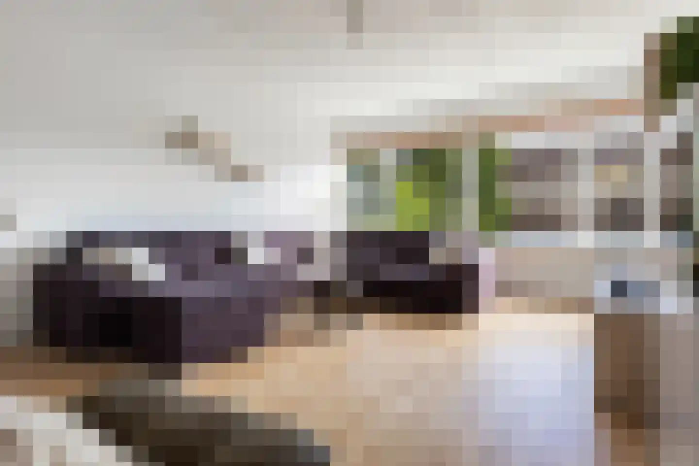 Socratesstraat 144 Apeldoorn thumbnail 5