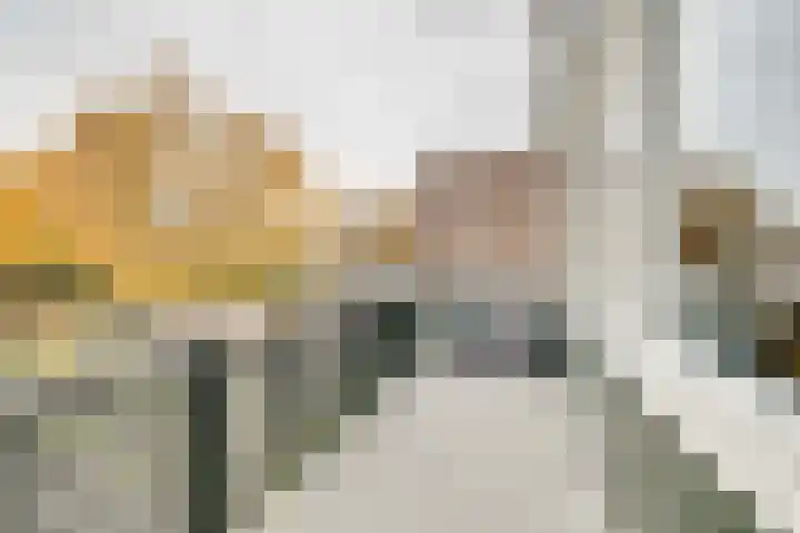 Socratesstraat 152 Apeldoorn thumbnail 17