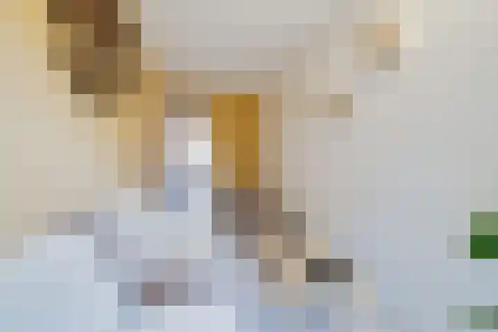 Socratesstraat 152 Apeldoorn thumbnail 21
