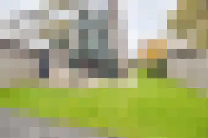 Socratesstraat 152 Apeldoorn thumbnail 32