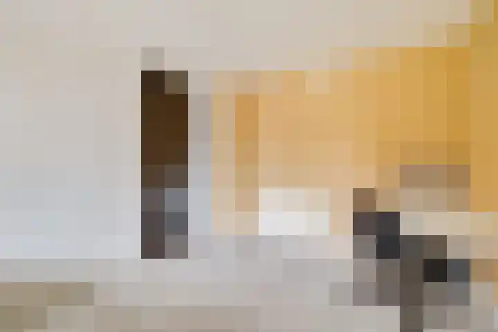 Socratesstraat 152 Apeldoorn thumbnail 7