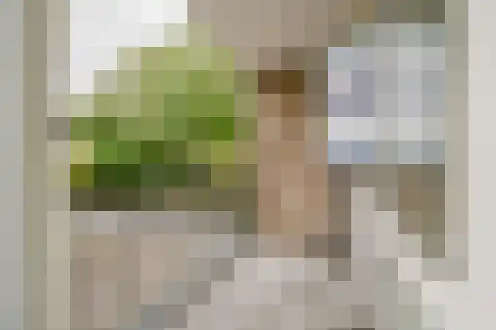 Socratesstraat 160 Rotterdam thumbnail 5