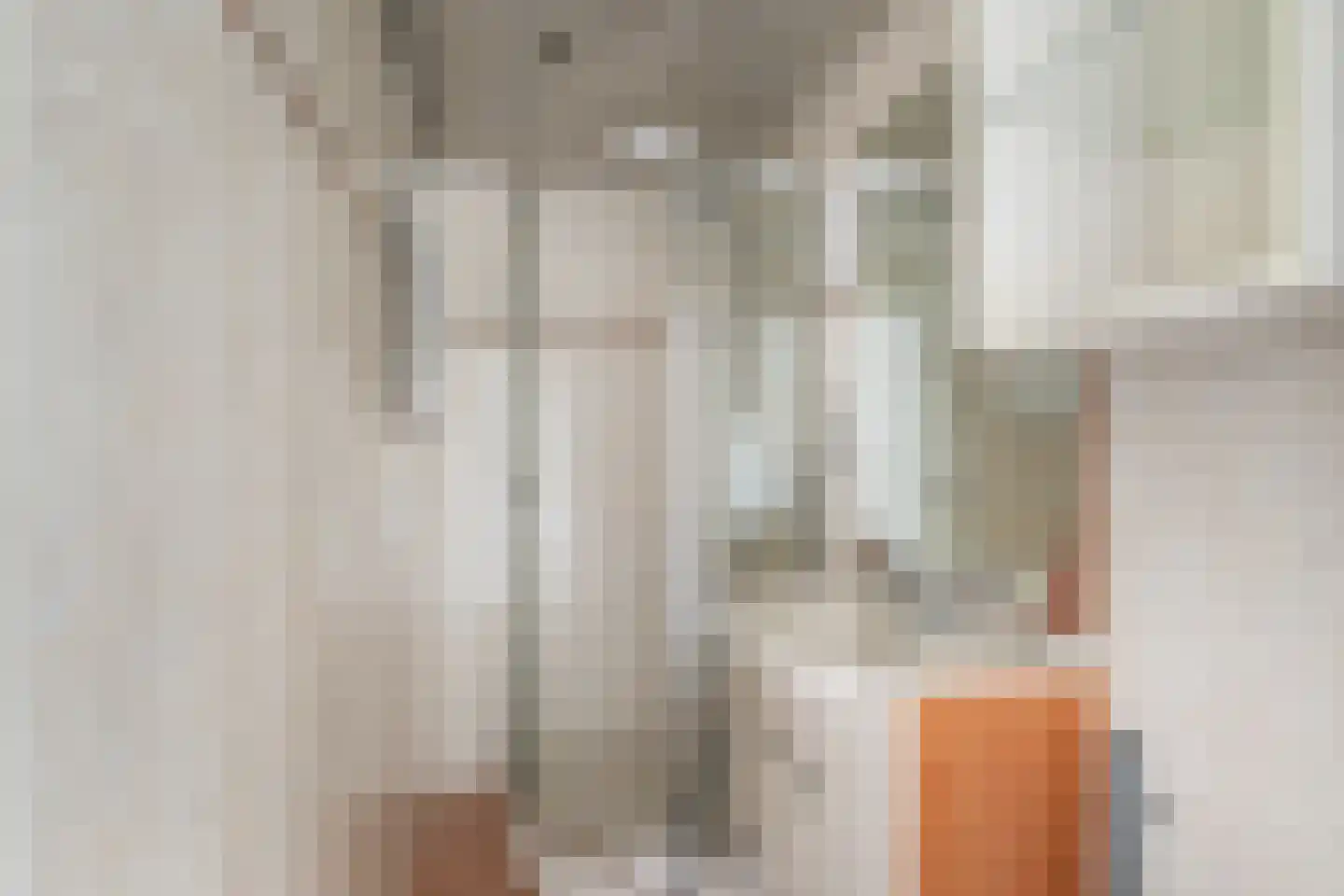 Socratesstraat 168 Rotterdam thumbnail 19