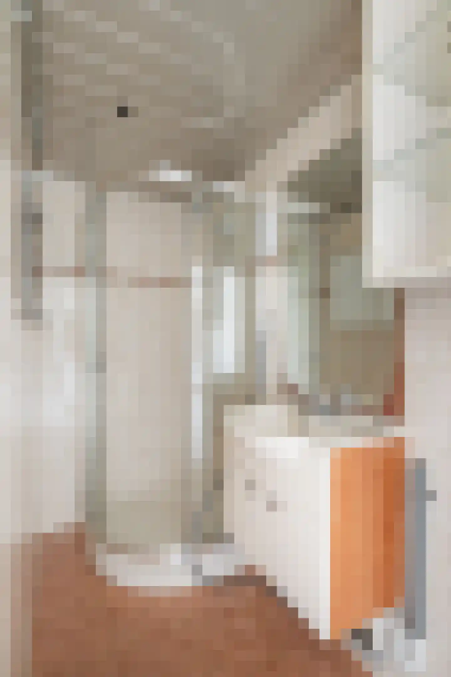Socratesstraat 168 Rotterdam thumbnail 20