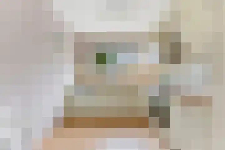 Socratesstraat 17 Rotterdam thumbnail 10