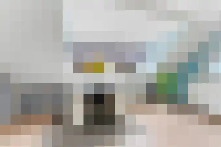 Socratesstraat 17 Rotterdam thumbnail 17