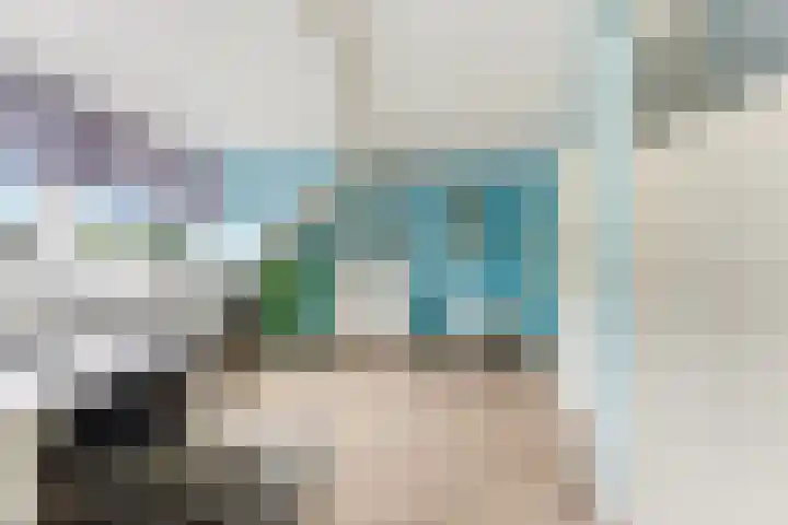 Socratesstraat 17 Rotterdam thumbnail 18