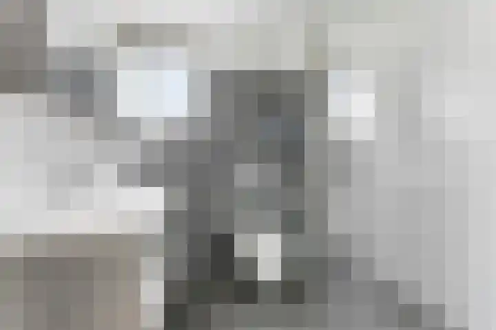 Socratesstraat 17 Rotterdam thumbnail 21