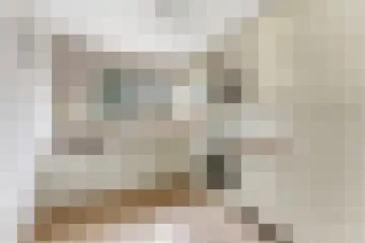 Socratesstraat 17 Rotterdam thumbnail 8
