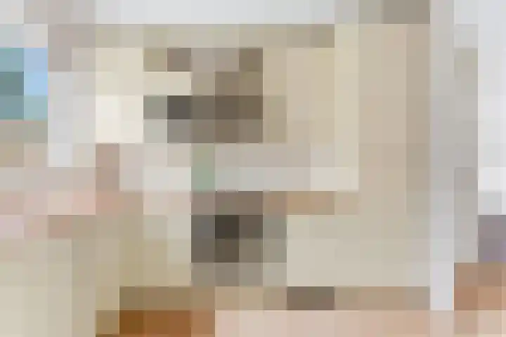Socratesstraat 17 Rotterdam thumbnail 9