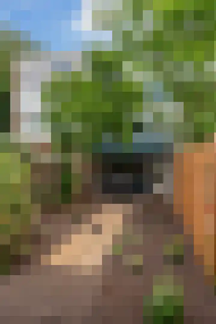 Socratesstraat 192 Apeldoorn thumbnail 12