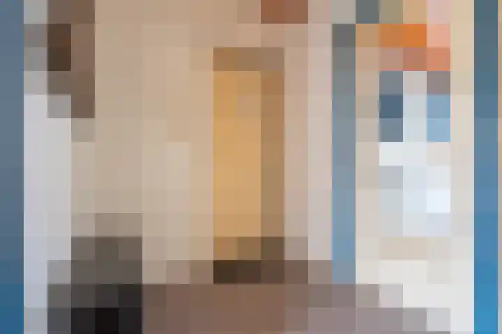 Socratesstraat 205 Rotterdam thumbnail 11