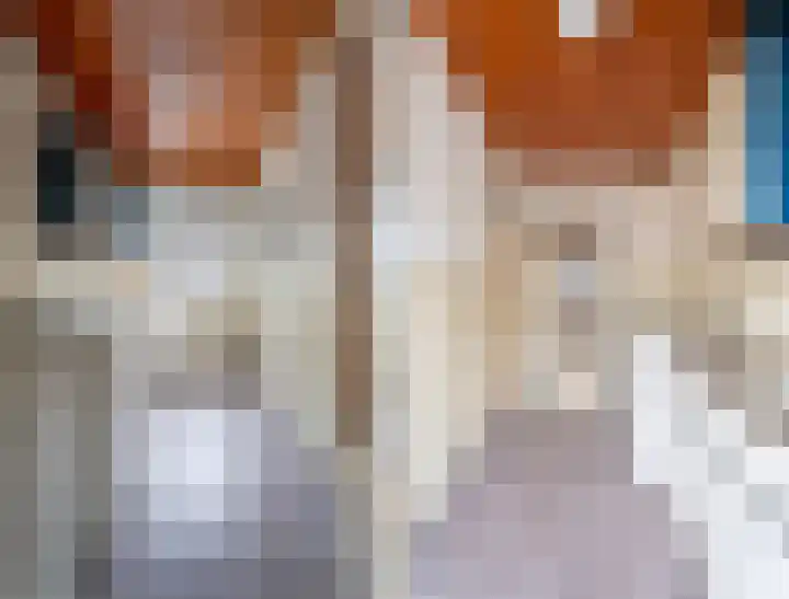 Socratesstraat 205 Rotterdam thumbnail 13
