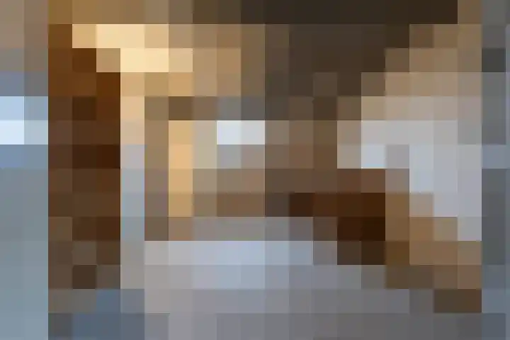 Socratesstraat 205 Rotterdam thumbnail 21