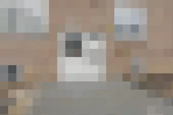 Socratesstraat 215 Rotterdam thumbnail 5