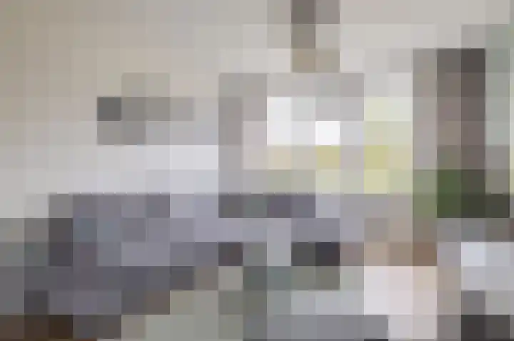 Socratesstraat 215 Rotterdam thumbnail 8