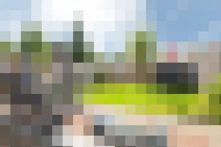 Socratesstraat 216 Apeldoorn thumbnail 23
