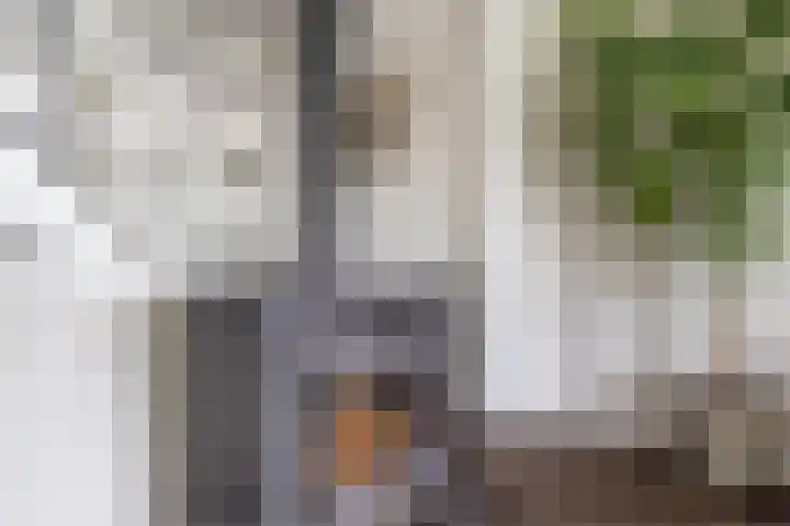 Socratesstraat 22 Apeldoorn thumbnail 16