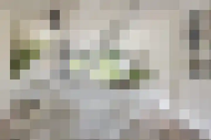 Socratesstraat 22 Apeldoorn thumbnail 17