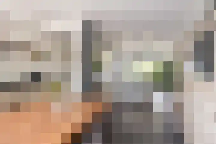 Socratesstraat 22 Apeldoorn thumbnail 20