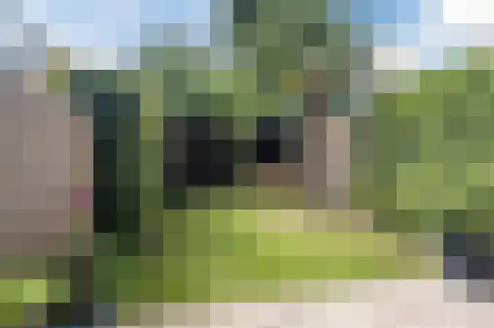 Socratesstraat 22 Apeldoorn thumbnail 41