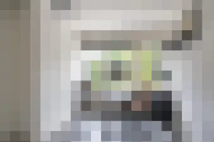 Socratesstraat 22 Apeldoorn thumbnail 9