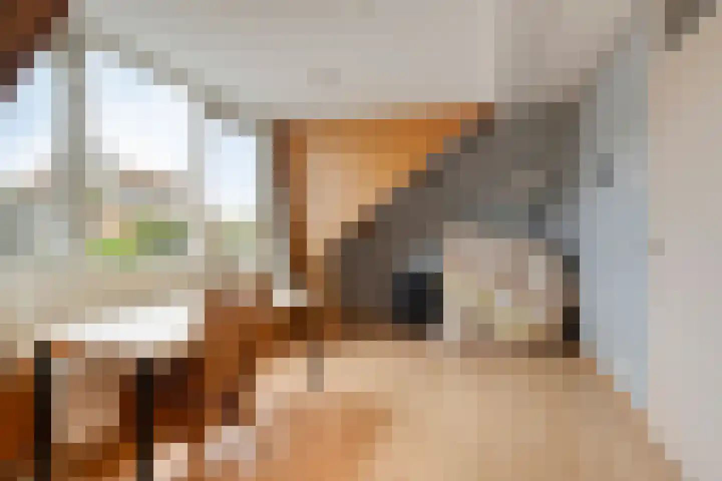 Socratesstraat 236 Rotterdam thumbnail 20