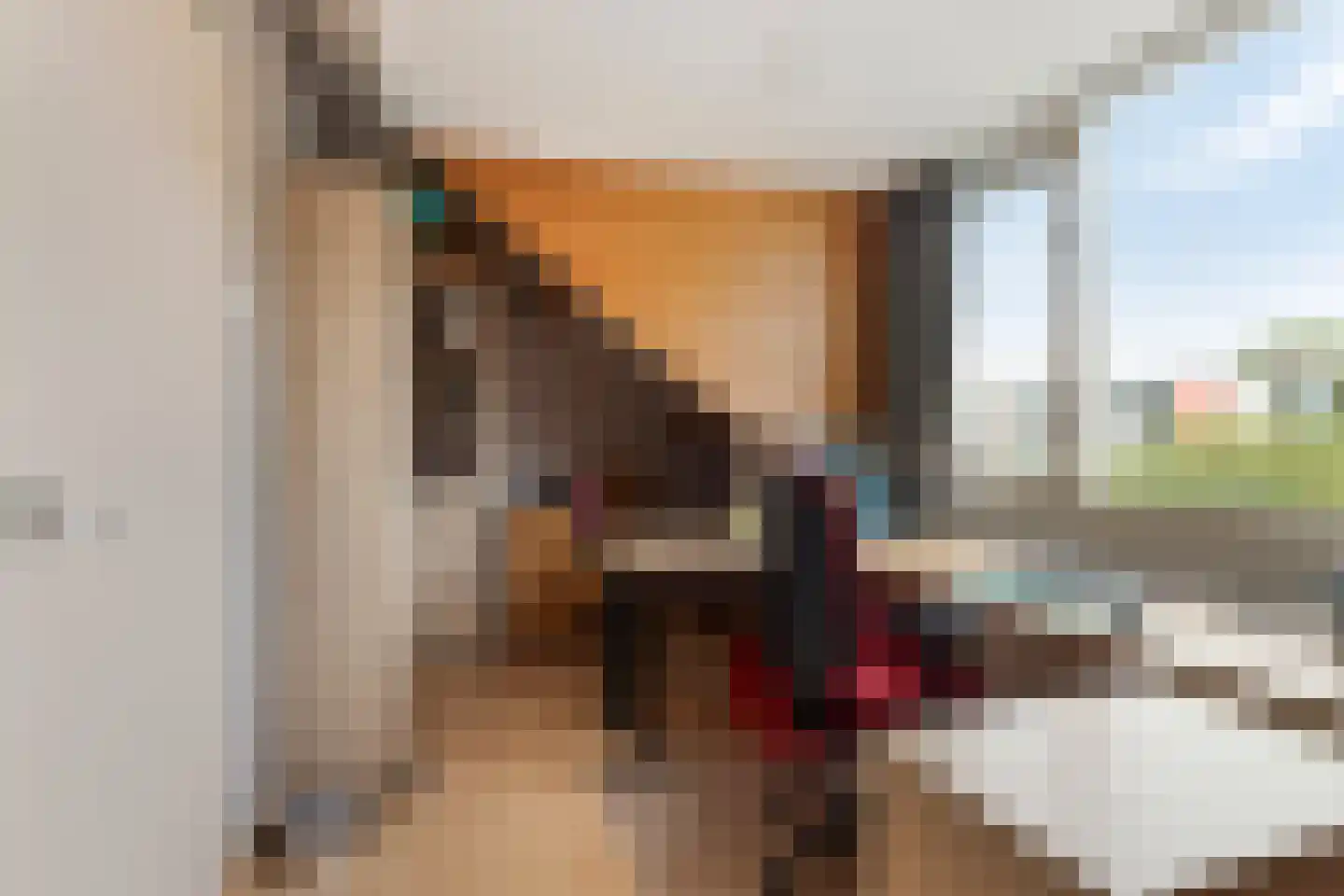 Socratesstraat 236 Rotterdam thumbnail 23
