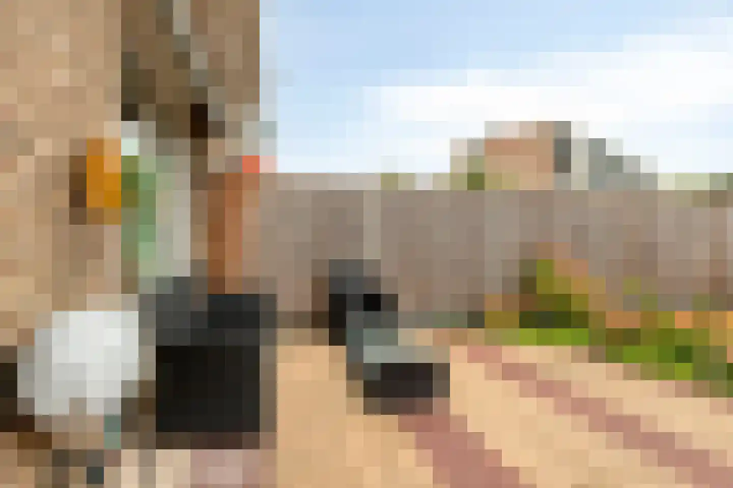 Socratesstraat 236 Rotterdam thumbnail 25