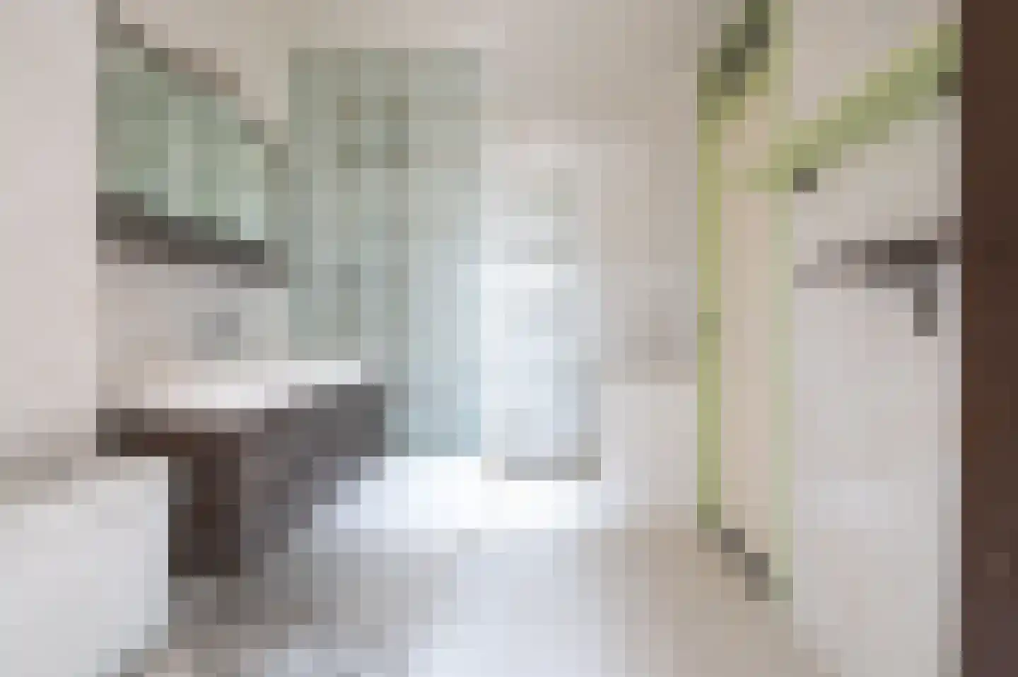 Socratesstraat 24 Apeldoorn thumbnail 39