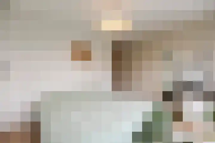 Socratesstraat 240 Apeldoorn thumbnail 29