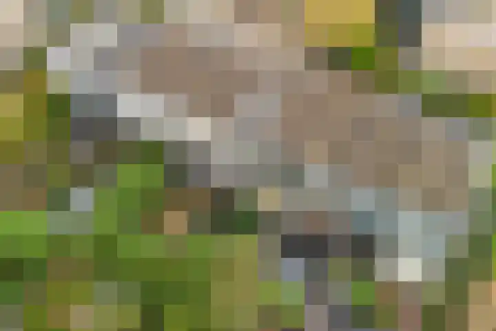 Socratesstraat 240 Apeldoorn thumbnail 37