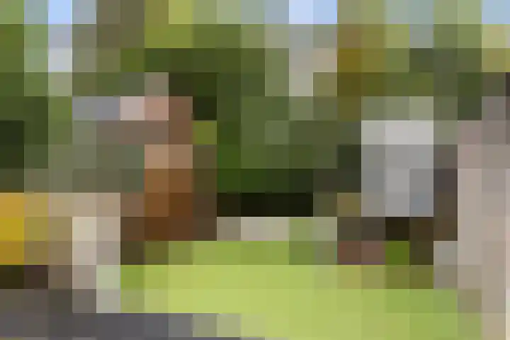 Socratesstraat 240 Apeldoorn thumbnail 9