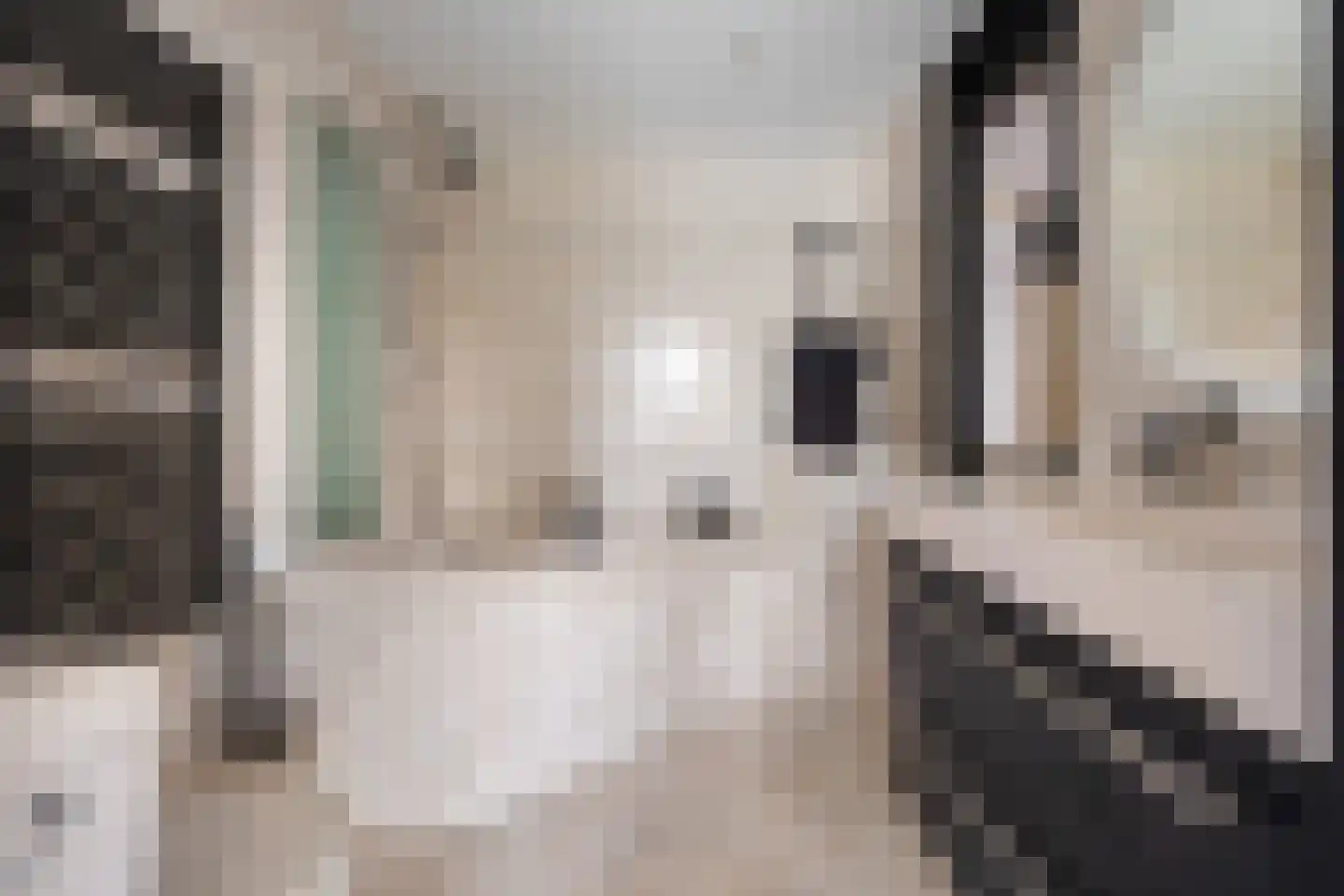 Socratesstraat 242 Apeldoorn thumbnail 26