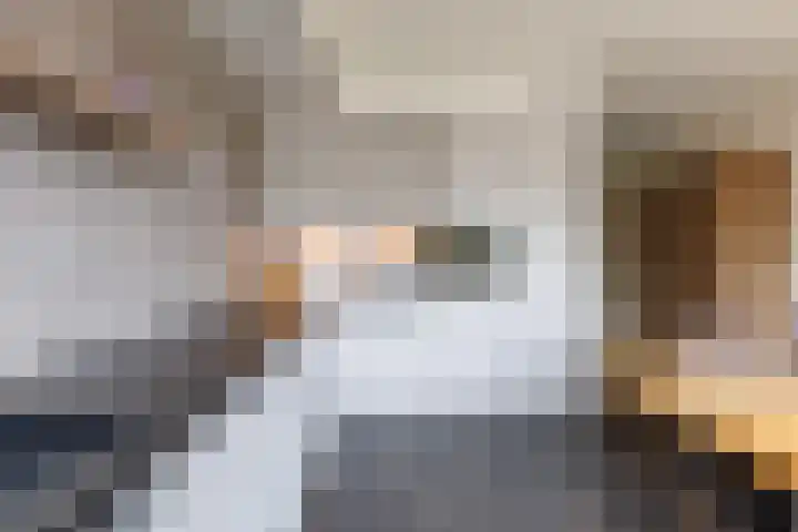 Socratesstraat 258 Apeldoorn thumbnail 12