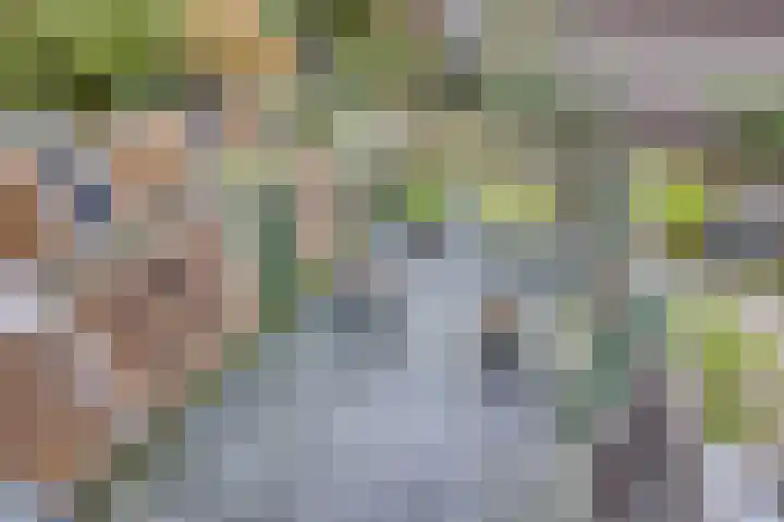 Socratesstraat 258 Apeldoorn thumbnail 21