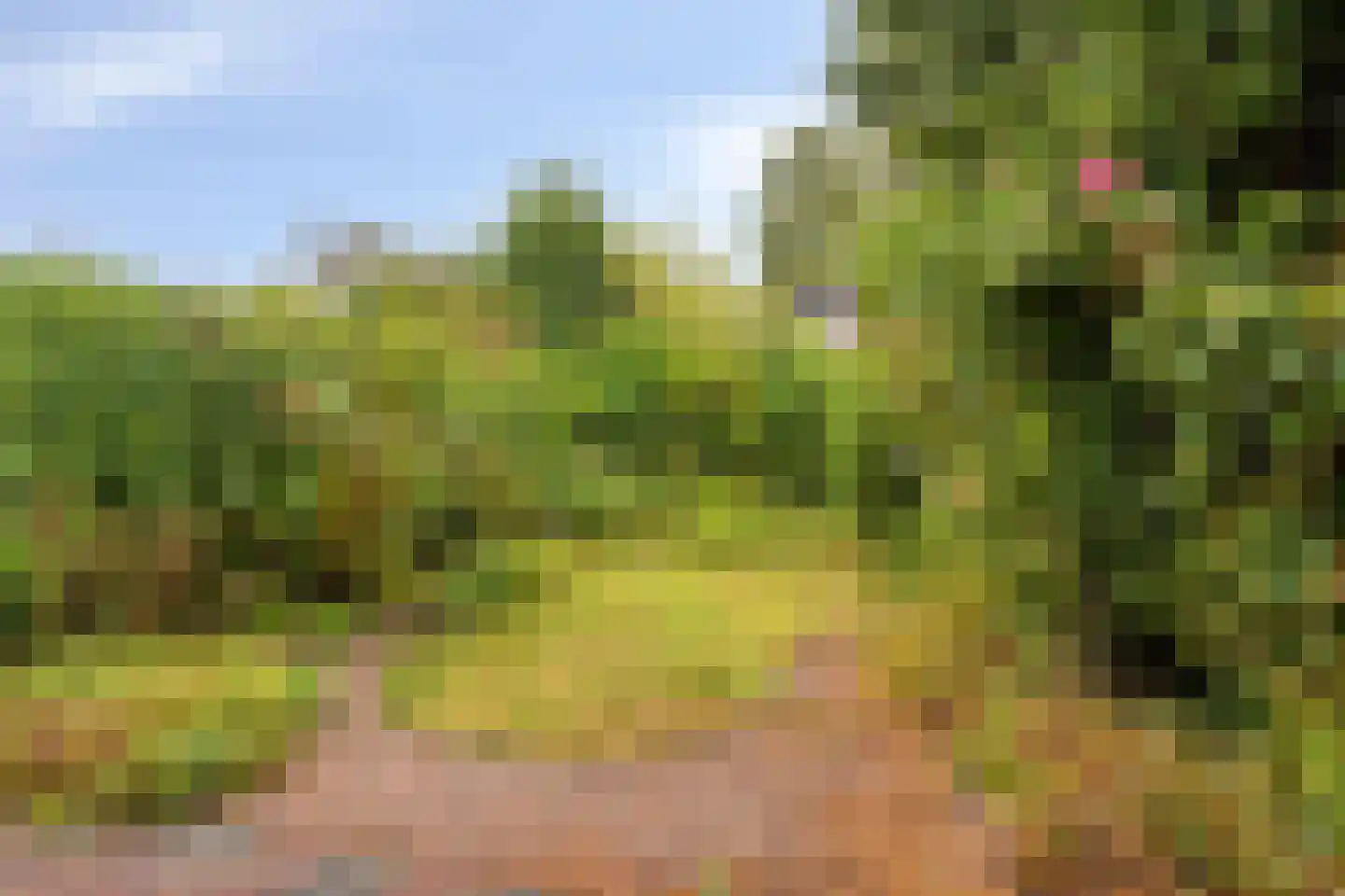 Socratesstraat 3 Amsterdam thumbnail 20