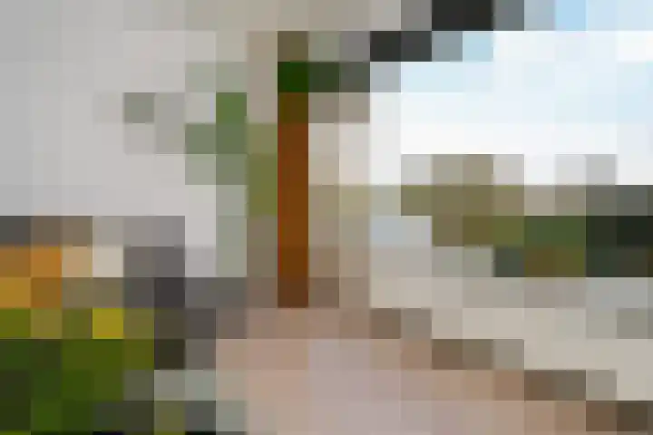 Socratesstraat 323 Rotterdam thumbnail 10