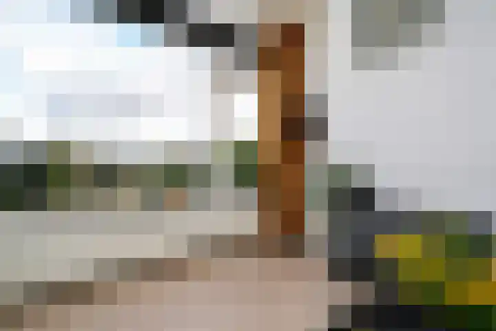 Socratesstraat 323 Rotterdam thumbnail 11