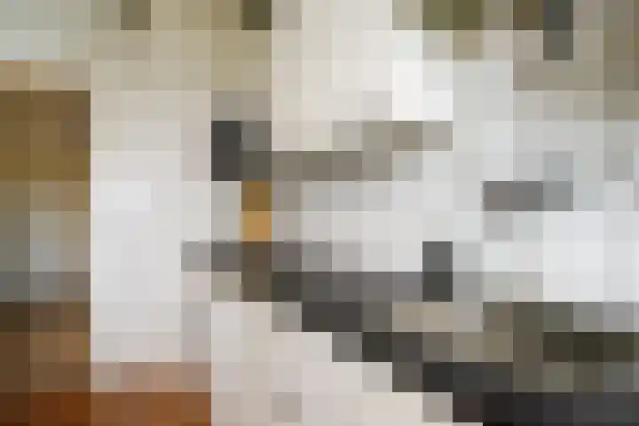 Socratesstraat 323 Rotterdam thumbnail 18