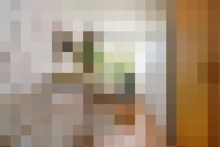 Socratesstraat 323 Rotterdam thumbnail 20