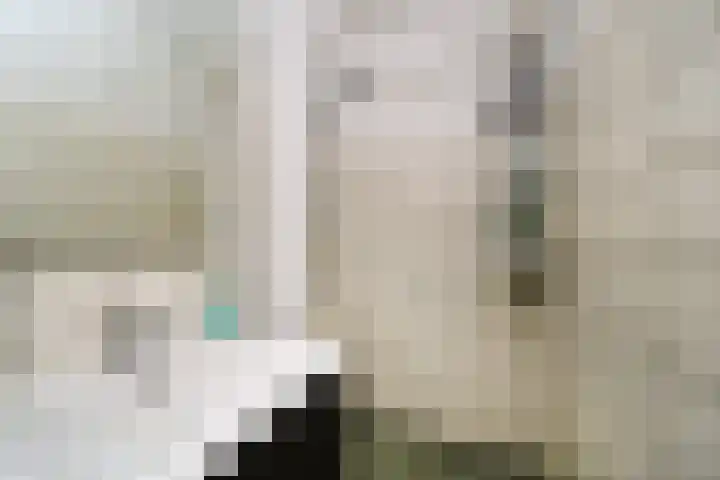Socratesstraat 323 Rotterdam thumbnail 5