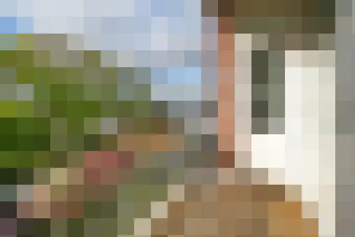 Socratesstraat 323 Rotterdam thumbnail 6