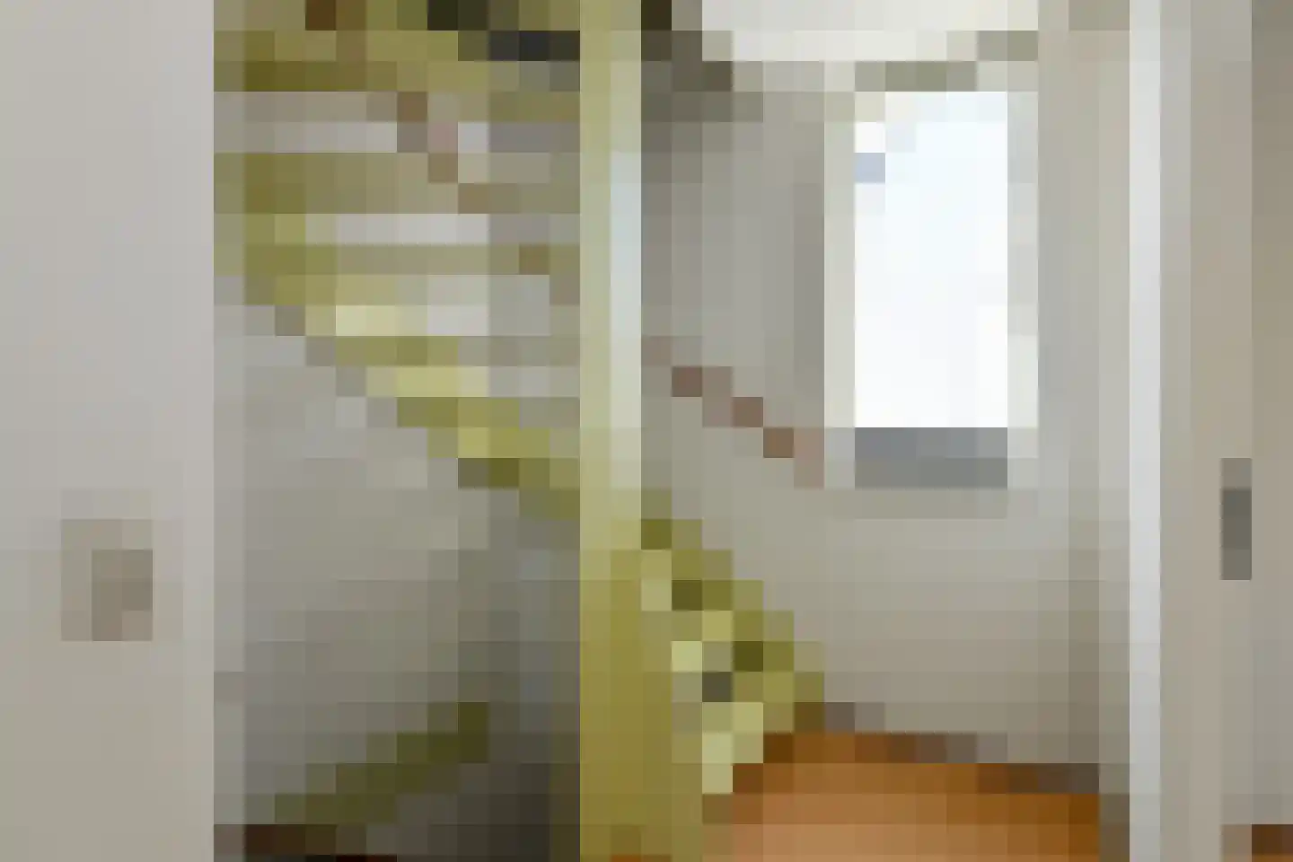 Socratesstraat 34 Arnhem thumbnail 29