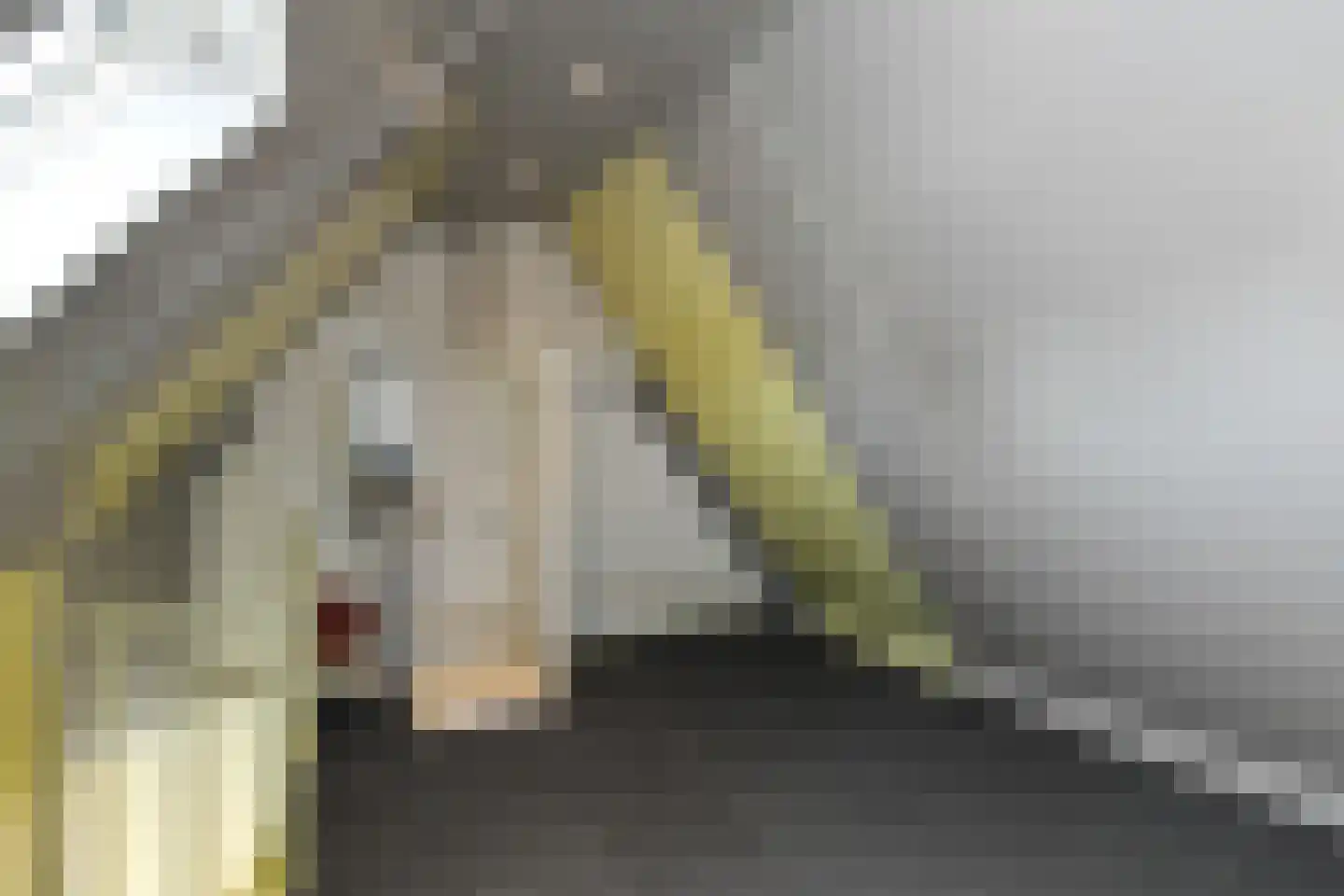Socratesstraat 34 Arnhem thumbnail 30