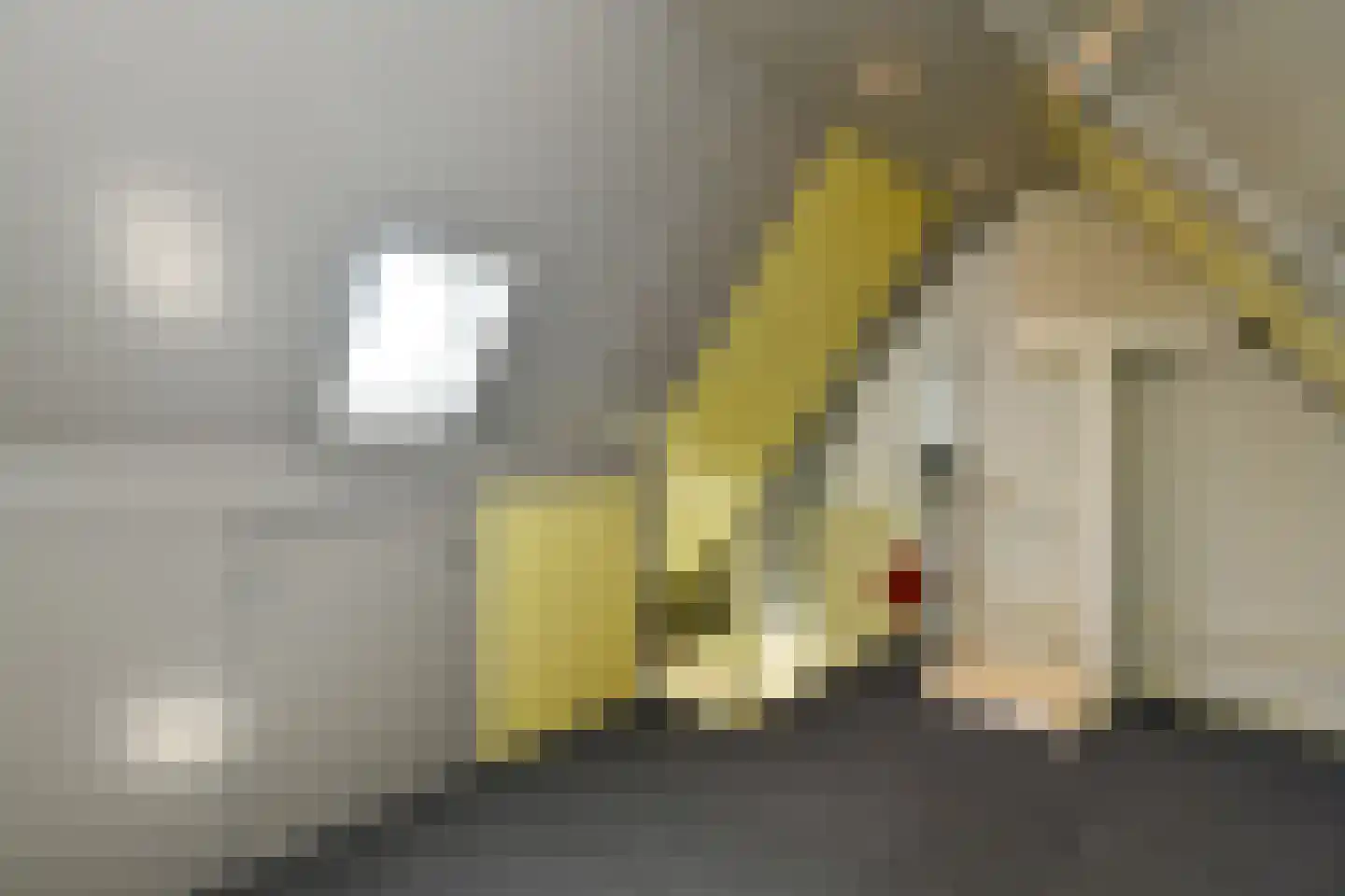 Socratesstraat 34 Arnhem thumbnail 31