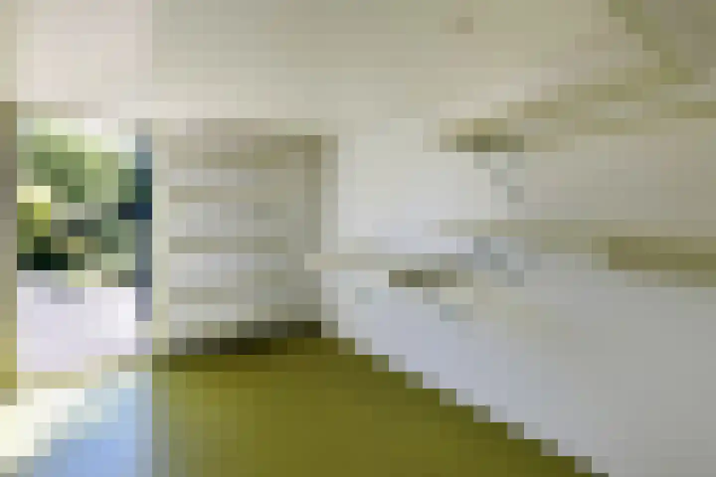 Socratesstraat 34 Arnhem thumbnail 33