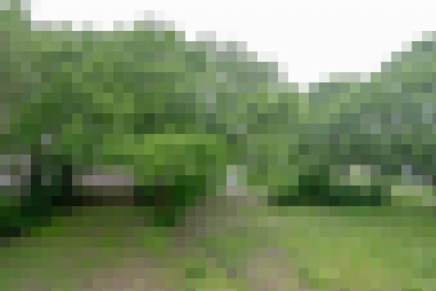 Socratesstraat 345 Rotterdam thumbnail 19