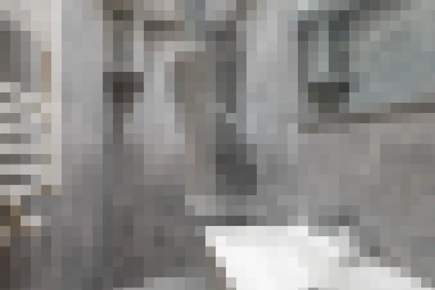Socratesstraat 345 Rotterdam thumbnail 5