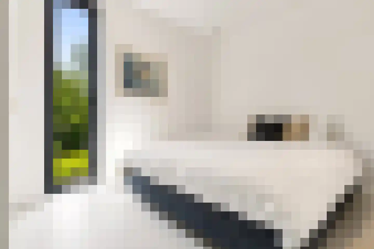 Socratesstraat 44 Almere thumbnail 28